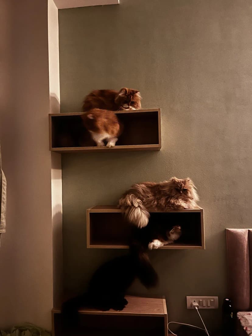 Portfolio — photo