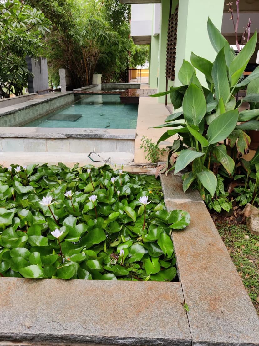 Gayathri And Namith Architects project