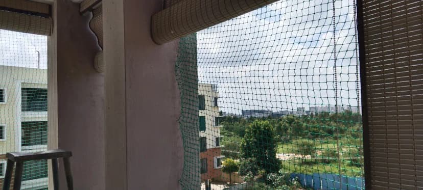 Portfolio — photo