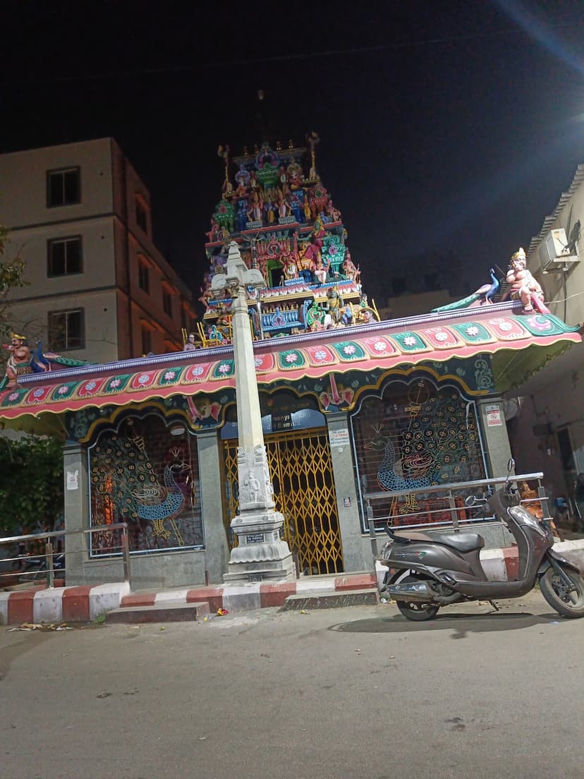 Portfolio — photo