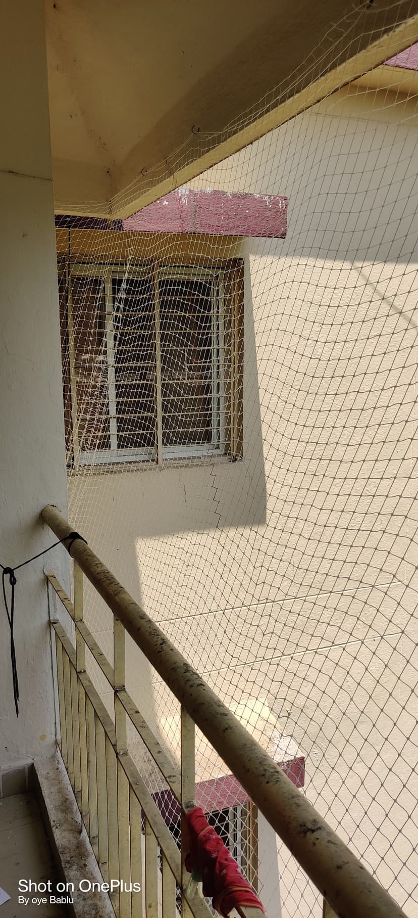 Portfolio — photo