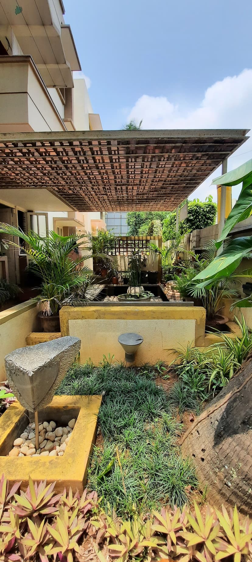 Portfolio — photo