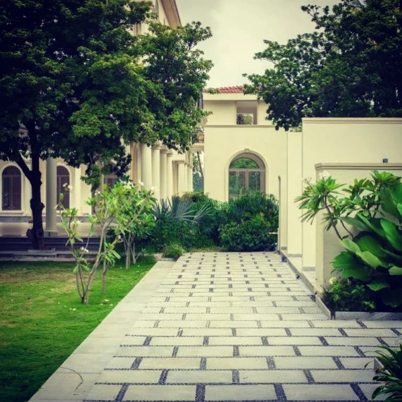 Portfolio — photo