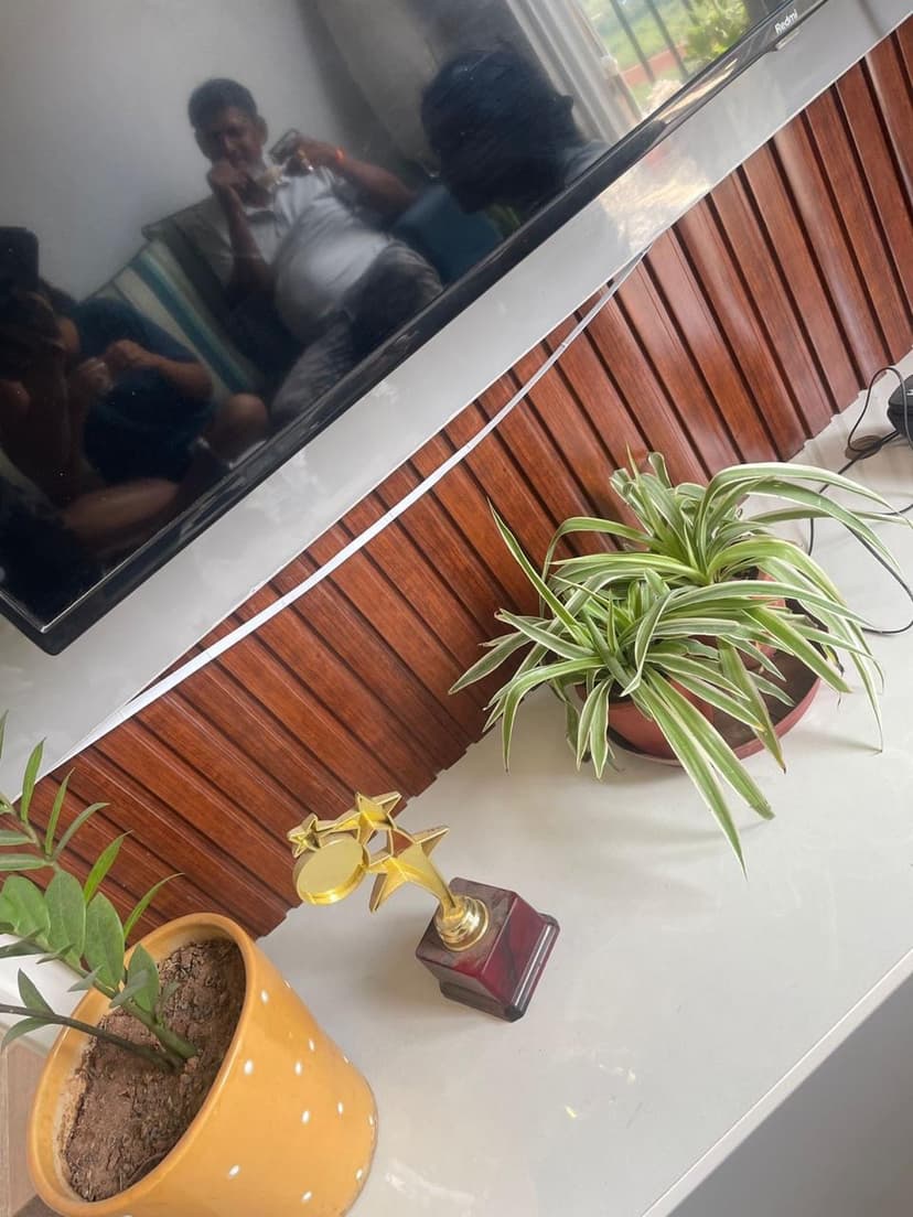 Portfolio — photo