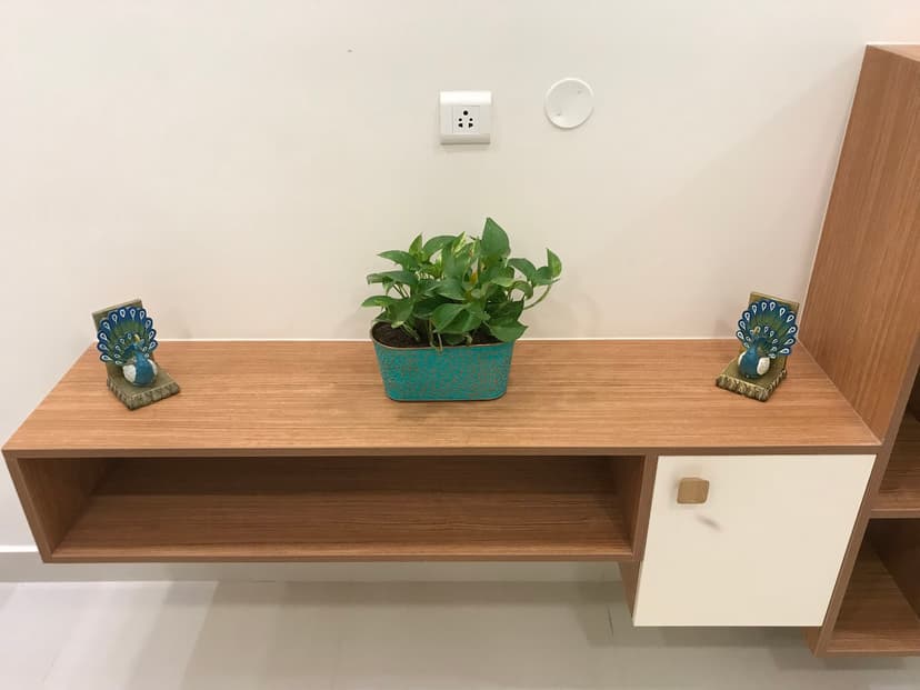Aashwika Interiors project