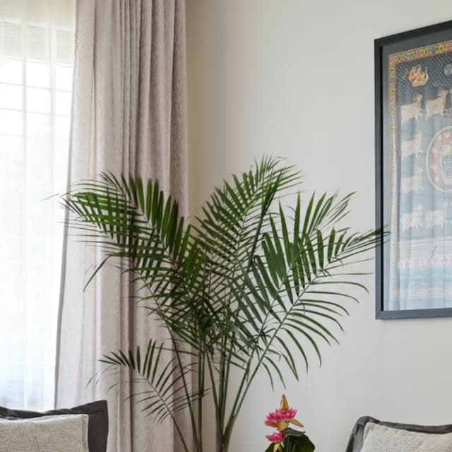 Shipra Jain Homes on Instagram