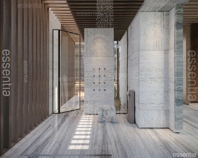 essentia project