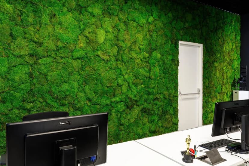GOYAL INTERNO project