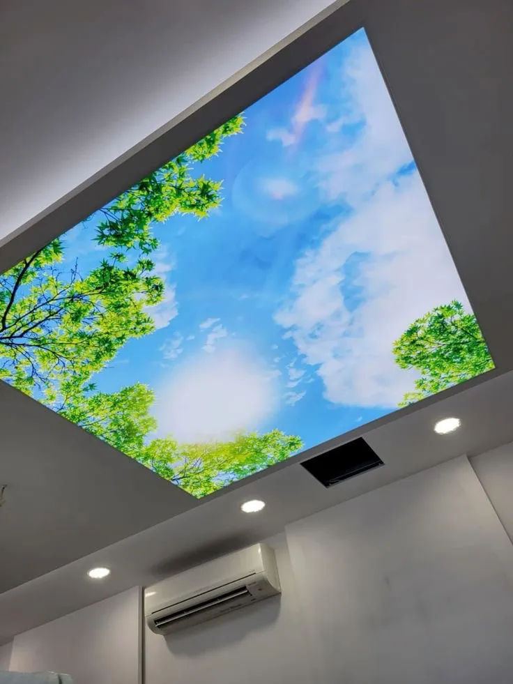 Dream 3D Designs