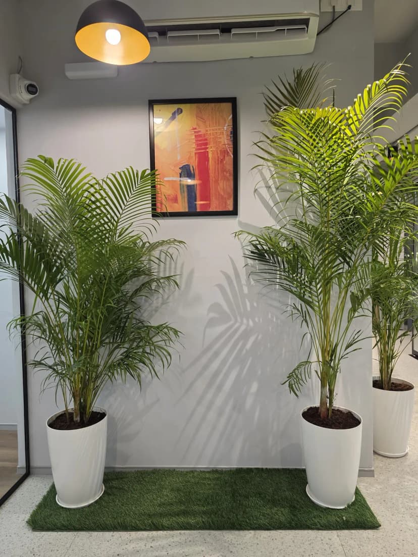 Gulati Interior - Best Interior Designer and Architects in Noida project