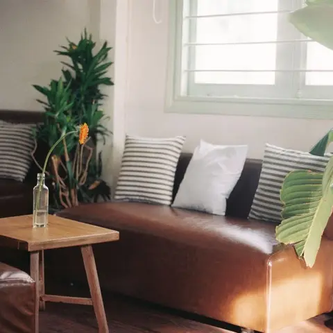 A tan leather sofa with striped and white throw pillows beside a large potted plant and a small wood side table near a slatted window.