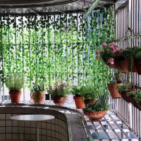 An enclosed balcony densely filled with hanging vine curtains and terracotta potted plants and flowers along a tiled ledge, small round table below
