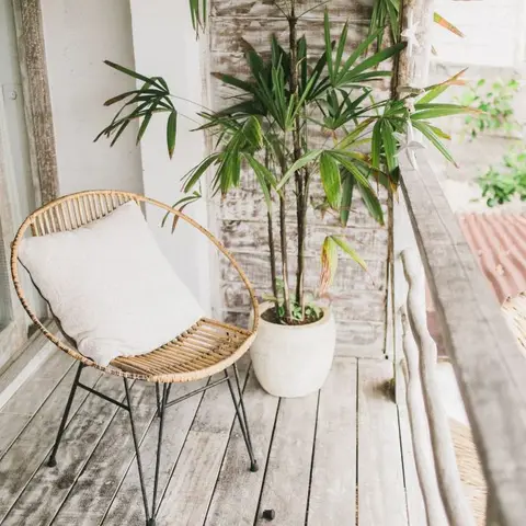 Boho balcony nook with a rattan hoop chair, a cream cushion, and a potted palm against a whitewashed wood plank wall.