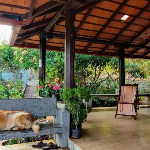 Covered verandah under a Mangalore-tiled rafter roof, a dog stretched out on the stone plinth bench