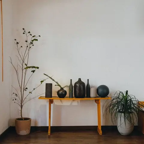Entryway console table styled with a row of ceramic vases and a ceramic sphere, flanked by potted plants against a plain white wall beside a wood-slatted door.