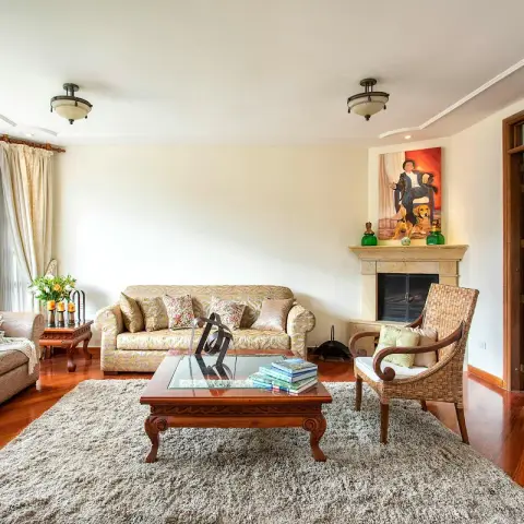 Family living room with a cream stone fireplace under a portrait of a man with two dogs