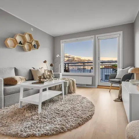 Grey Scandinavian living room with honeycomb-shaped wall shelves, a round shag rug, and full-height balcony doors framing a mountain view.