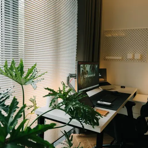 Home workstation with a white sit-stand desk, dual monitors, black ergonomic chair and a large potted plant in front of horizontal window blinds.