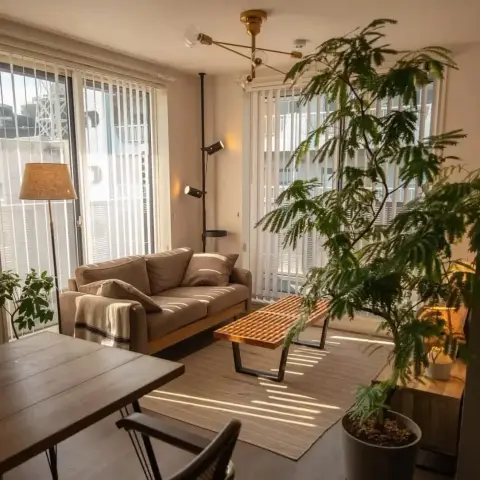 Late-afternoon apartment living room where a mimosa tree fills the corner beside a beige two-seater, a slatted bench coffee table and a brass sputnik light
