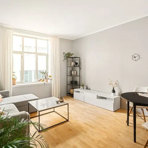 Light-oak living-dining apartment with a grey sofa, black-framed round dining table and a botanical gallery wall