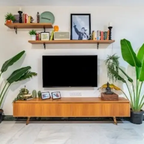 Living room TV wall with a mid-century wood console styled with books and framed art on floating shelves, flanked by tall potted bird-of-paradise plants.