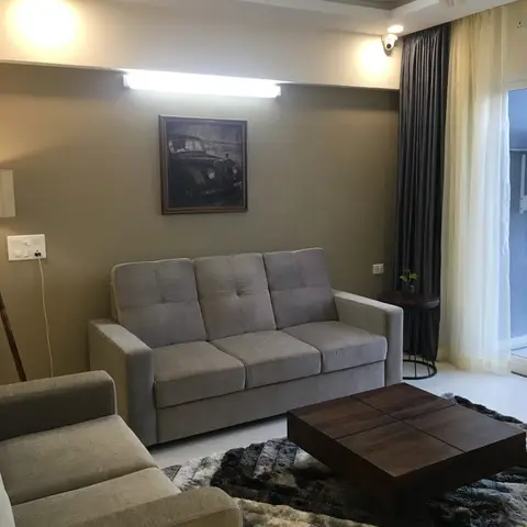 Living room with a grey tufted fabric sofa set around a dark wood cube coffee table on a shaggy rug, an olive accent wall with a framed vintage-car print.
