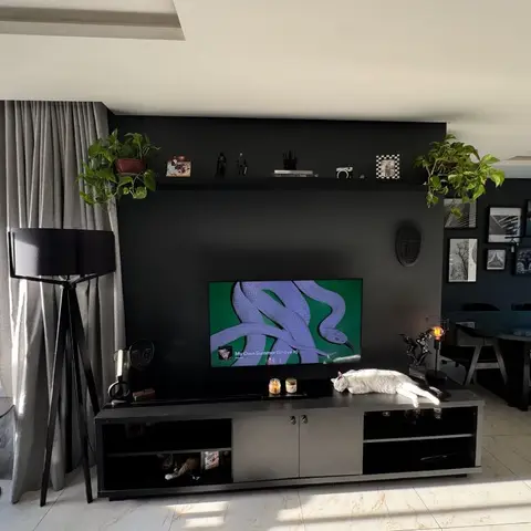 Living room with a matte black accent wall behind the TV console, a styled floating shelf, hanging plants, and a black tripod floor lamp