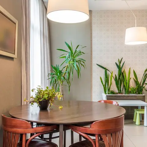 Round wood dining table with bentwood chairs beside a patterned wallpaper accent wall styled with tall potted plants and two drum-shade pendant lights
