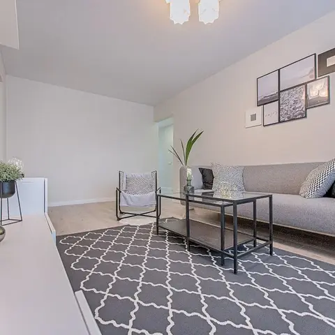 Staged living room with a grey sofa, sling accent chair, and a bold trellis-pattern rug in front of a gallery wall of framed photos.
