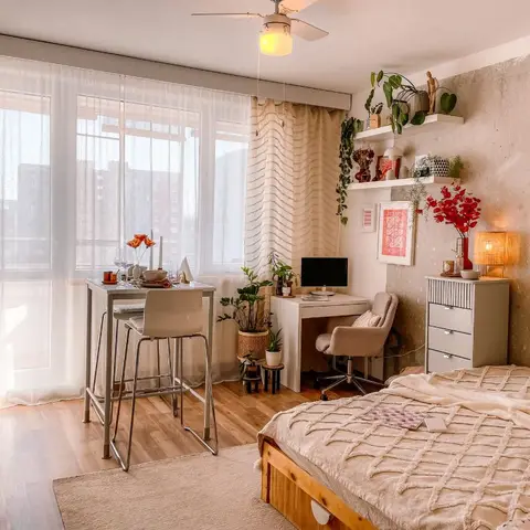 Studio apartment combining a sleeping nook, home desk and bar-height dining table against a raw concrete accent wall styled with hanging plants.