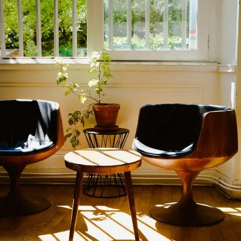 Sunlit corner with two walnut tulip-base swivel chairs and a matching round side table around a potted plant