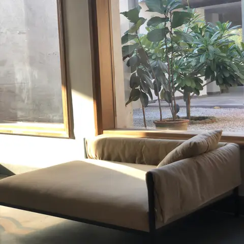 Sunlit lounge corner with a low beige daybed sofa against exposed concrete walls, overlooking a courtyard planted with a fiddle-leaf fig.