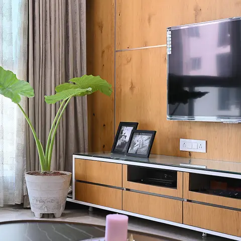 Wood-panelled TV wall with a wall-mounted television over a glass-top veneer console styled with framed photos, a large potted plant beside layered curtains